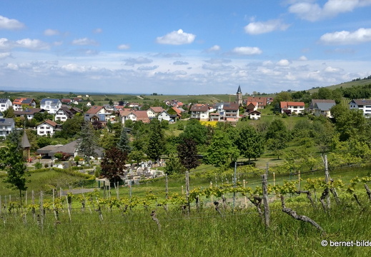 21-05-28-altschweier-