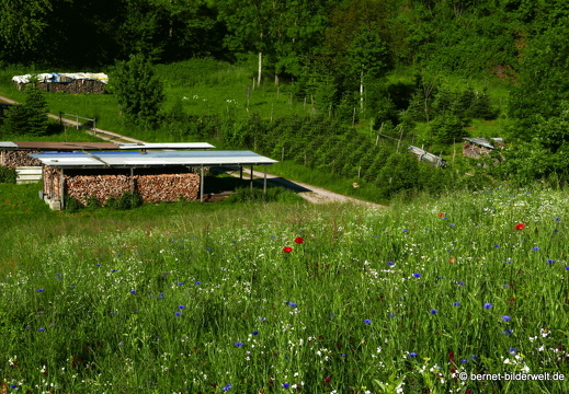 21-05-29-herrenbergstrasse-080