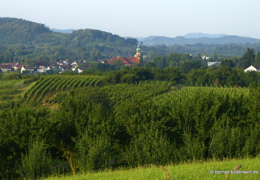 21-06-19-weinberge-aussicht-kappelwindeck-