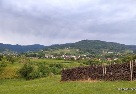 21-06-22-weinberge-regenwolken-altschweier-