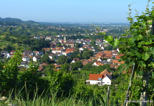 21-07-21-altschweier-weinberge-014