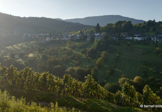 21-09-04-waldmatt-rittersbach-015