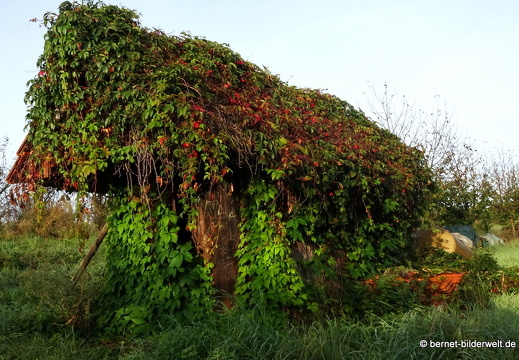 21-09-22-weinberghuett-001