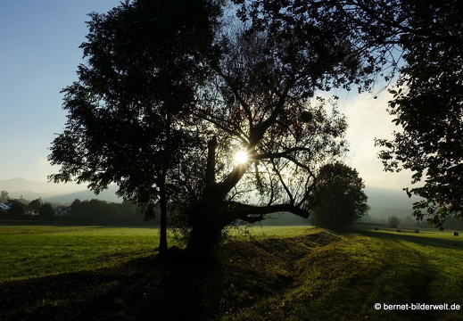 21-10-09-alte b3-fruehnebel-101