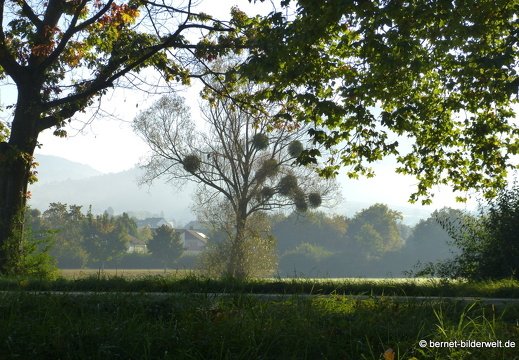 21-10-10-alte b3-fruehnebel-122