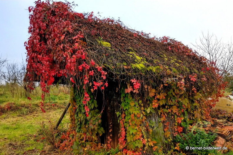 21-10-16-weinberghuette-nebel-002.jpg