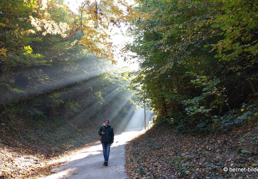 21-10-24-burgweg-015