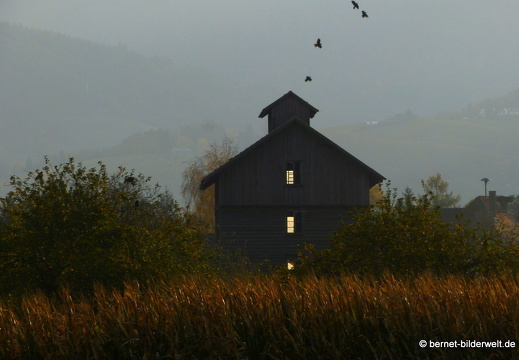 21-11-07-ottersweier-tabakschuppen-003