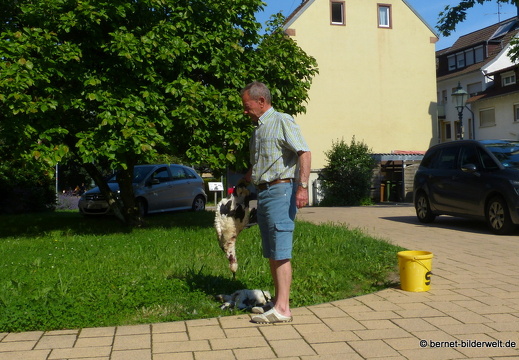 21-06-12-storchnnest-tote storche-