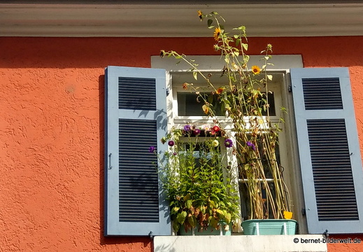 21-08-13-offenburg-058