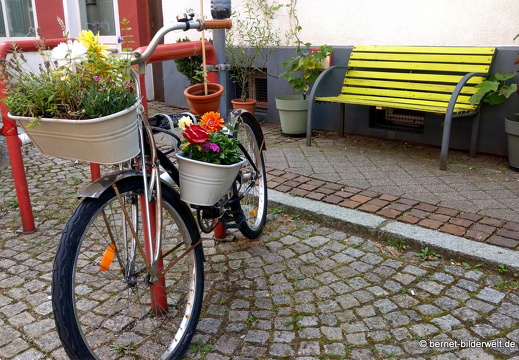 21-08-13-offenburg-056