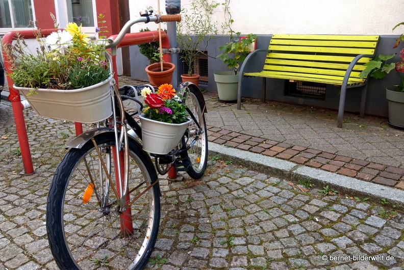 21-08-13-offenburg-056.jpg
