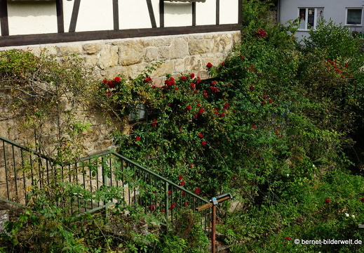 21-09-14-forbach-136