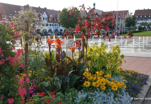 21-08-21-freudenstadt-marktplatz-fontaine-blumen-