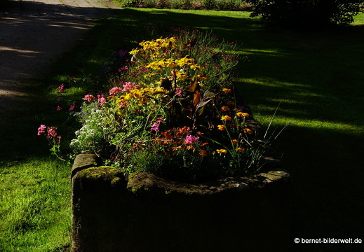 21-08-21-freudenstadt-park vorbevoie-003