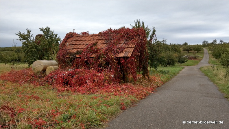 20-09-30-buehl-weinberghuette-001.JPG