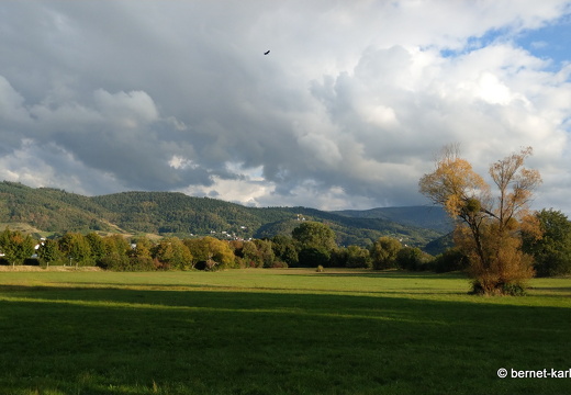 22-09-30-alteb3-wiesenweg-herbstfarben-002