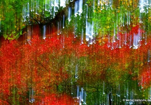 22-10-08-burgweg-herbstfarben-020