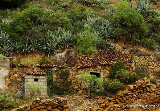 16-02-08-vallehermoso bis playa-104