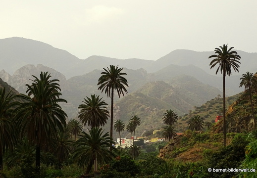 16-02-08-vallehermoso-