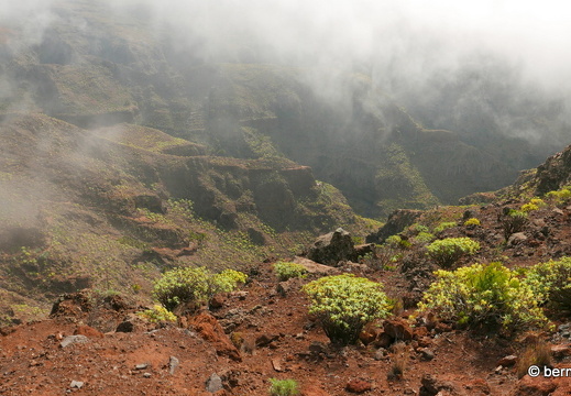 16-02-09-san lorenzo-spaziergang richtung el drago-012