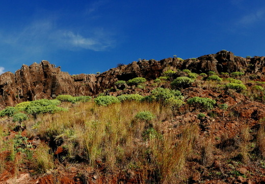 16-02-09-san lorenzo-spaziergang zur casa julia-086