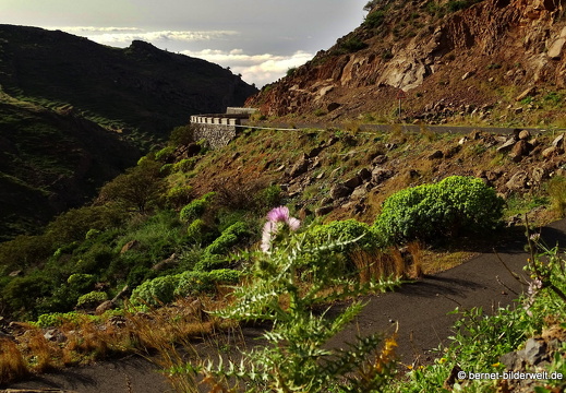 16-02-09-san lorenzo-spaziergang zur casa julia-033