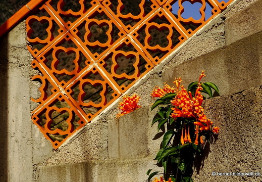 16-02-11-abstieg nach vallehermoso-061