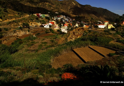 16-02-11-abstieg nach vallehermoso-065