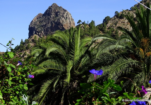 16-02-14-rueckweg nach vallerhermoso-040