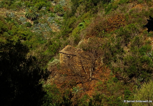 16-02-14-rueckweg nach vallerhermoso-012