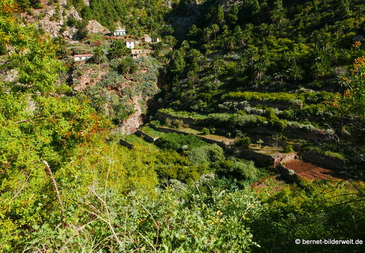 16-02-14-rueckweg nach vallerhermoso-055