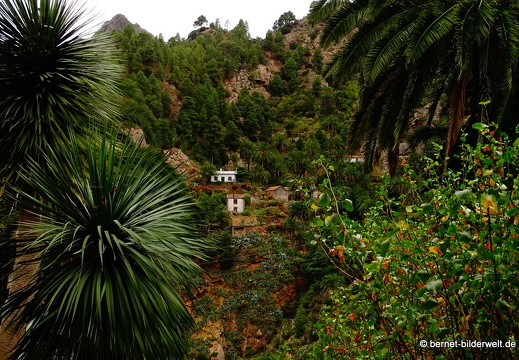 16-02-14-vallehermoso richtung el teon-033