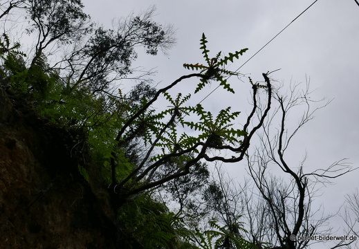 16-02-14-vallehermoso richtung el teon-047