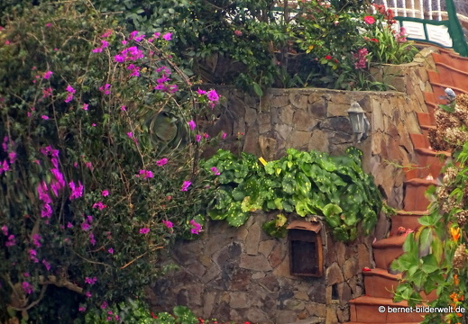 16-02-17-las rosas-046