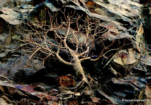 16-02-18-regentag-vallerhermoso-playa-001