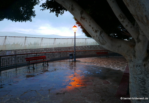 16-02-19-la dama-047