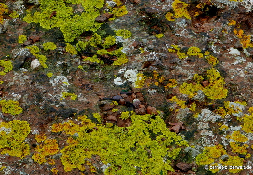 16-02-21-presa de le encantadora-081