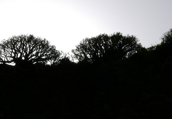 16-02-25-weg nach san marcos-170