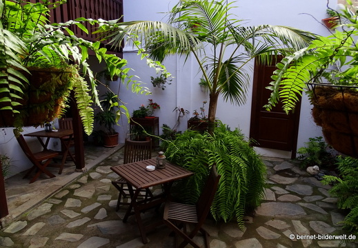 16-02-26-agulo-los helechos-patio-