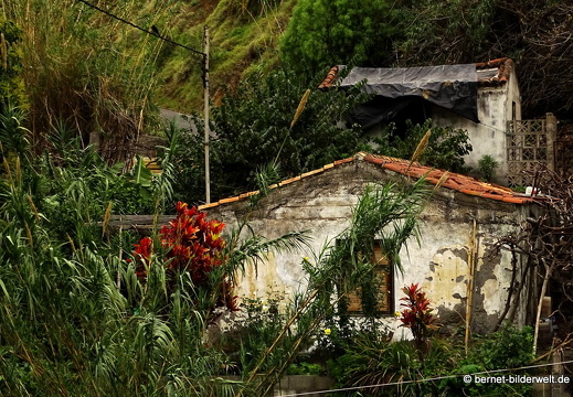 16-02-26-hermigua-spaziergang-002