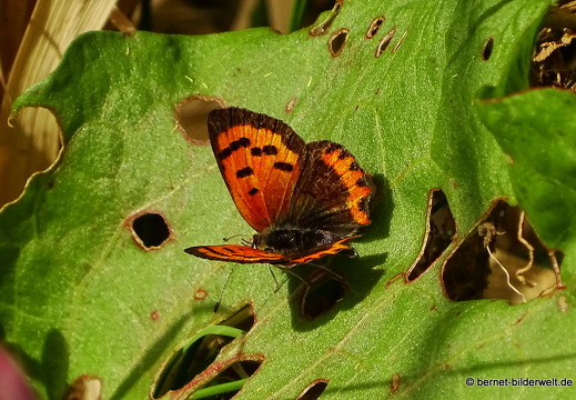 16-02-11-am camino zum playa-032