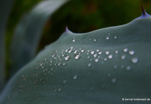 16-02-14-vallehermoso richtung el teon-029