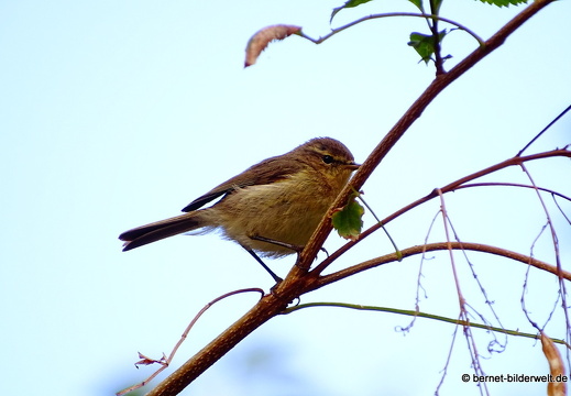 16-02-17-vallehermoso-jardin botanico-090