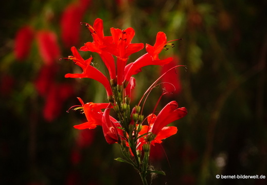 16-03-02-san sebastian-park-077