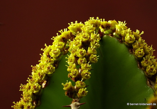 16-03-04-san sebastian-aussichtspunkt-parador-022