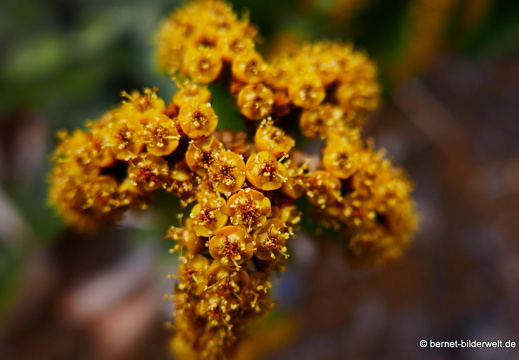 16-03-04-san sebastian-aussichtspunkt-parador-029