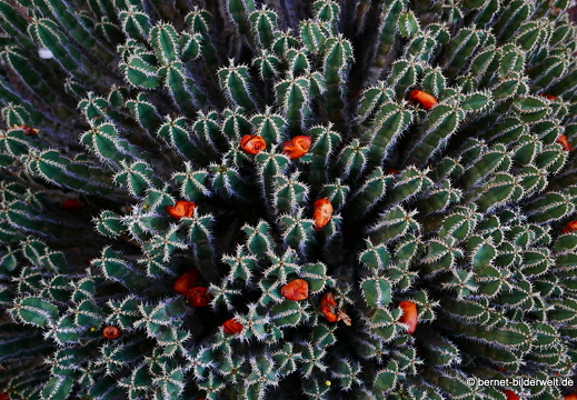 16-03-04-san sebastian-aussichtspunkt-parador-047