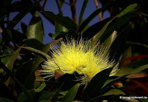 16-03-04-san sebastian-richtung leuchtturm-002