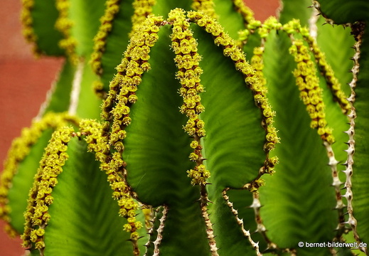 16-03-04-san sebastian-aussichtspunkt-parador-050